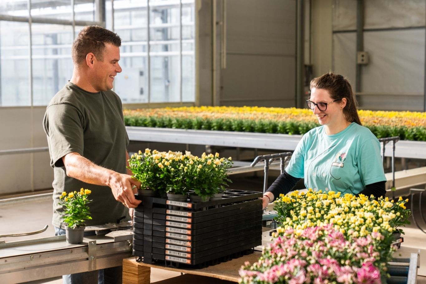 Kweker pakt meermalige plantentray Floratino bij Kwekerij SVCO