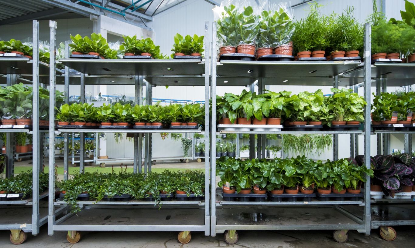 Royal Flora Holland Logistiek 20170815 28