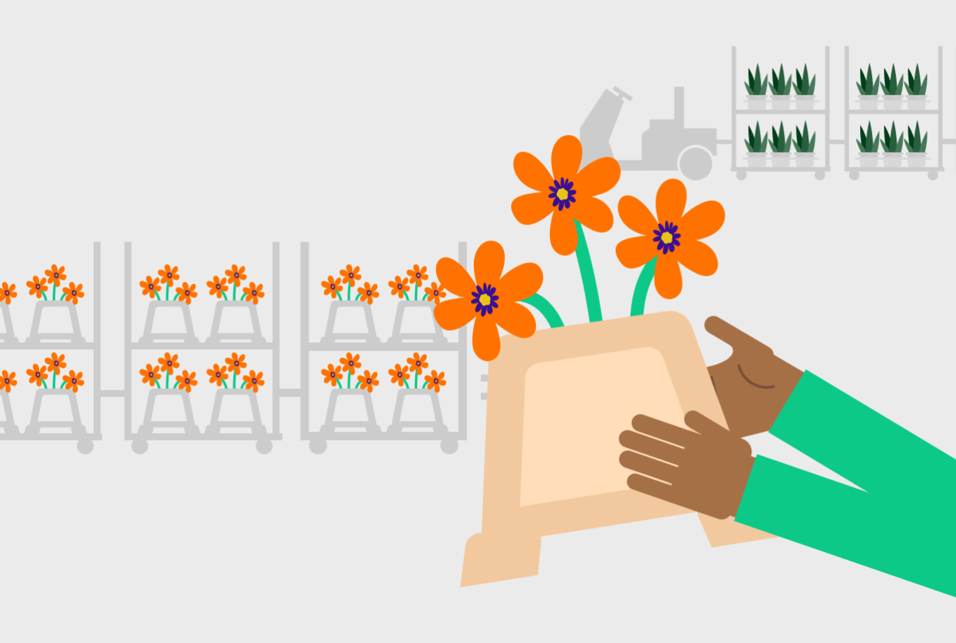 Piek eerst bloemen campagnepagina banner illustratie 684x460px