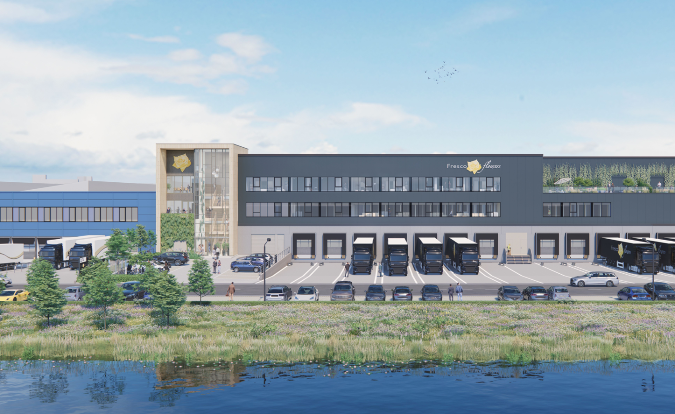 Aalsmeer Oost Ficus Fresco Flowers juli 2025