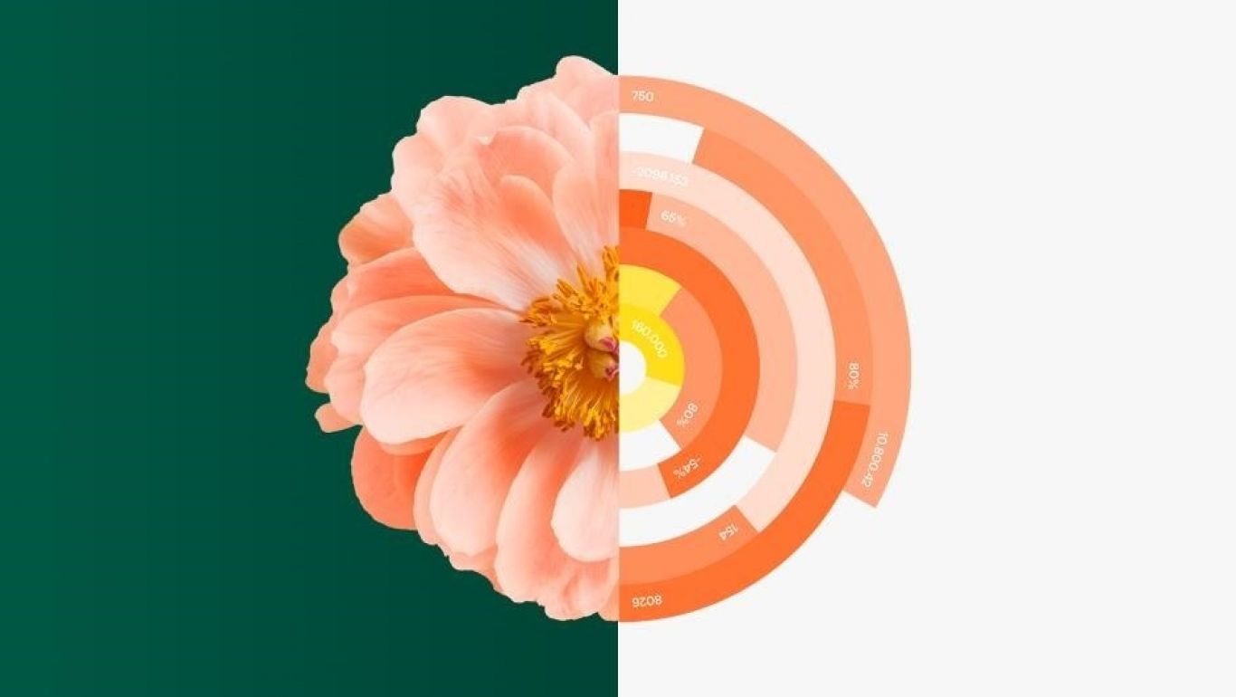 Royal floraholland flower 940x530px