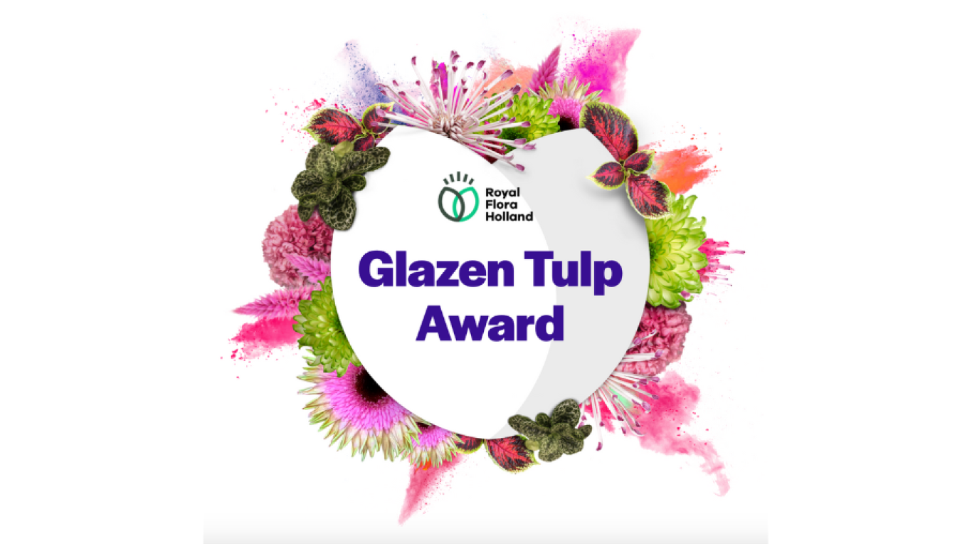 Glazen tulp