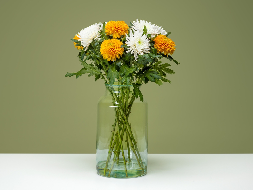 FPC Chrysant bloem