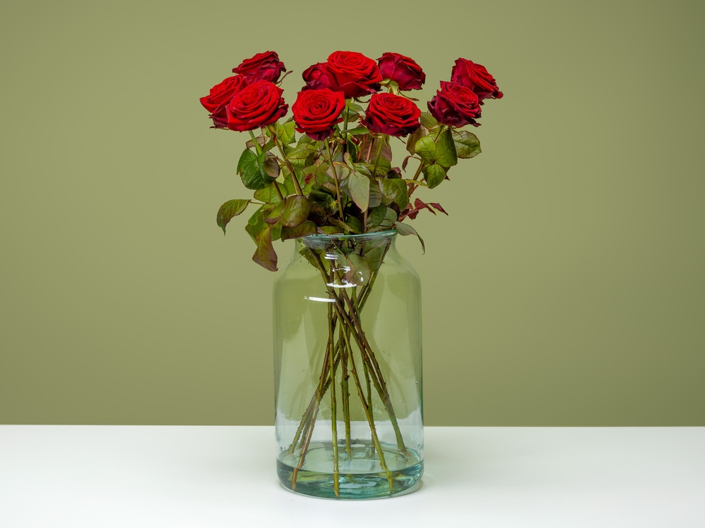 FPC Roos bloem