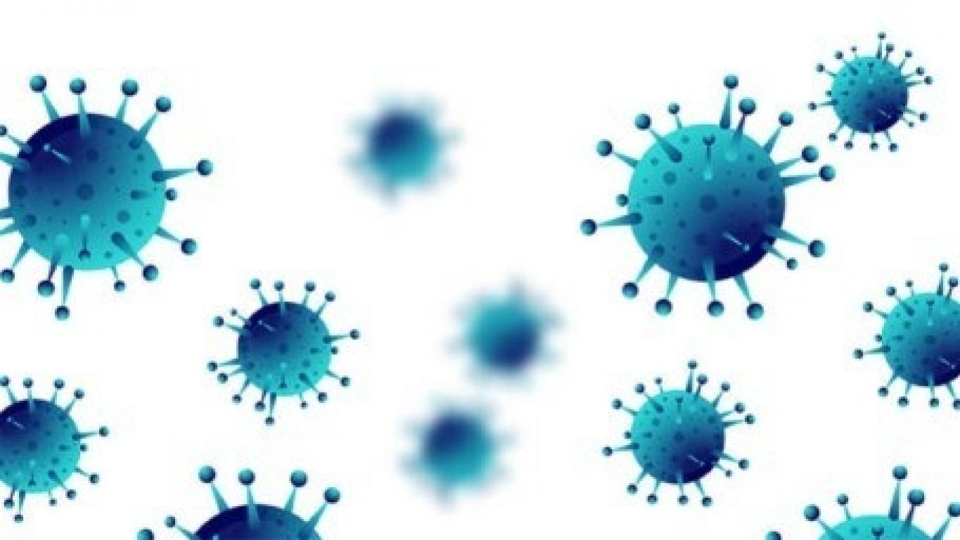 Corona virus covid 19 1024x369