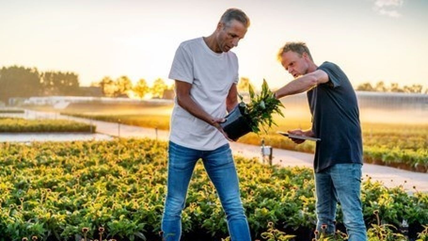 Royalfloraholland shoot 1 2 800 18 455x256