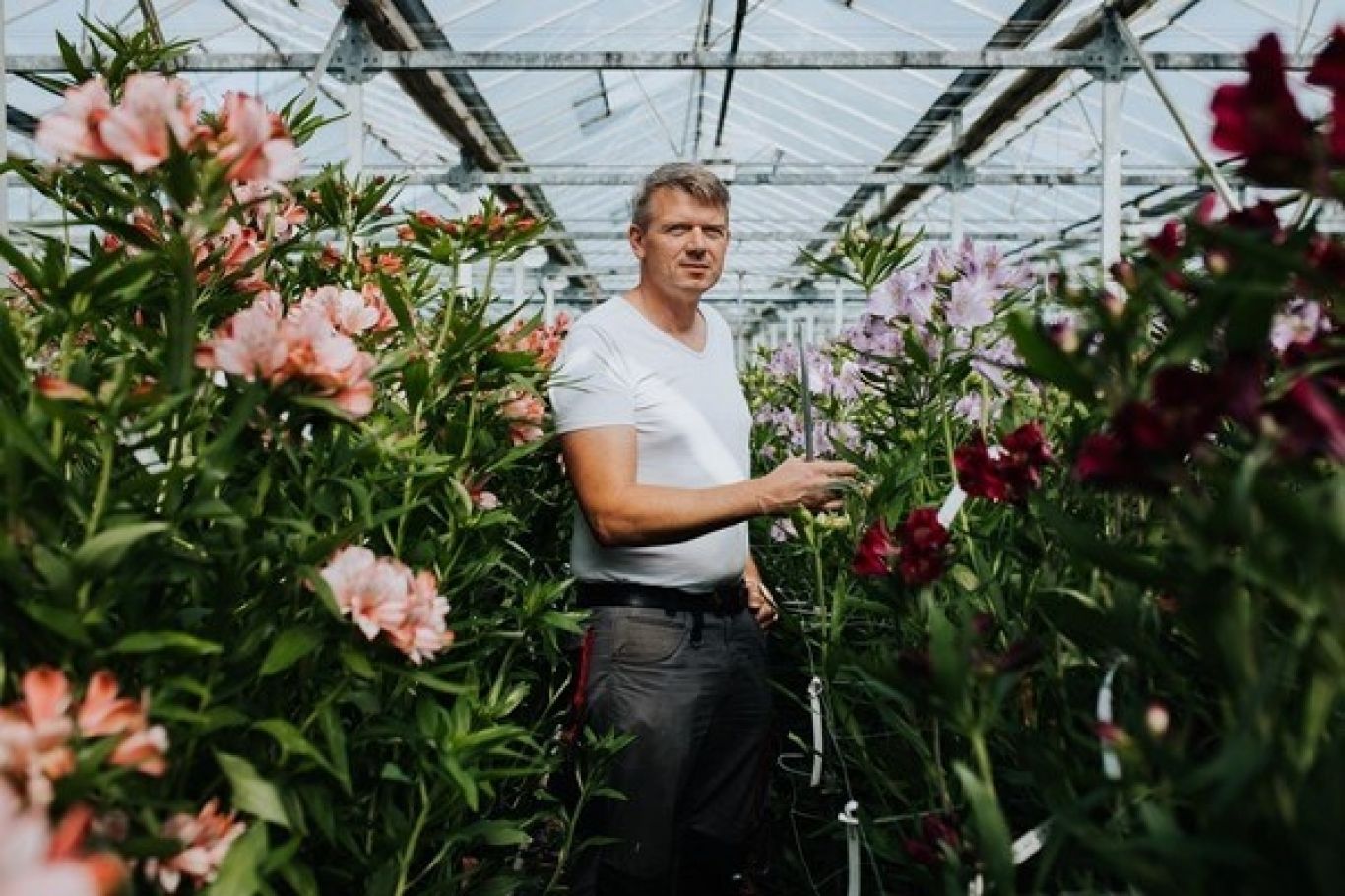 Royal Flora Holland Rick Melenhorst