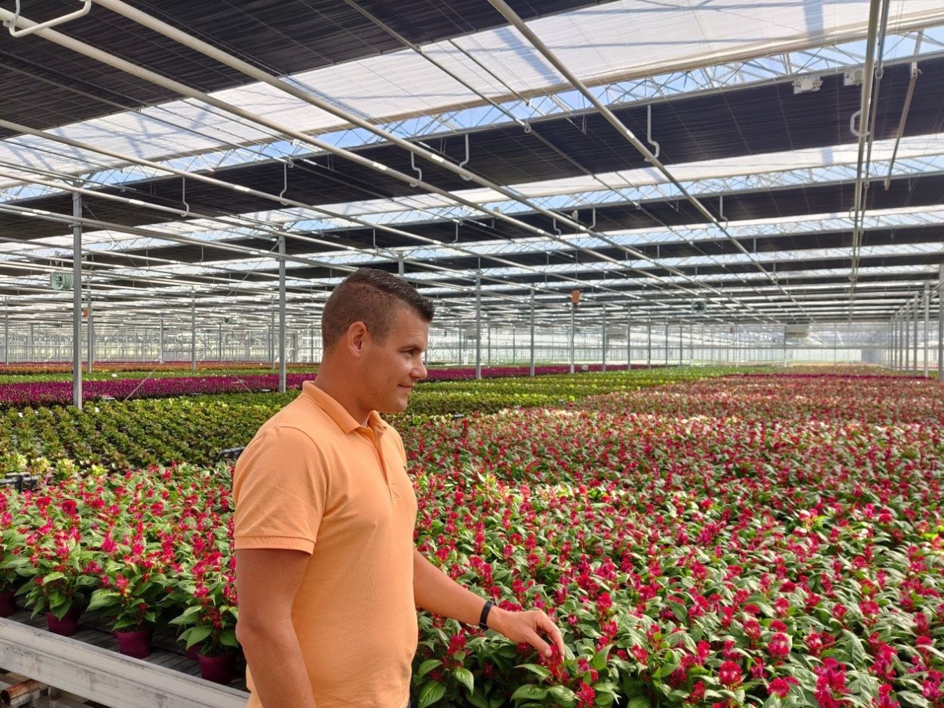 Royal Flora Holland Jelle Strijbis