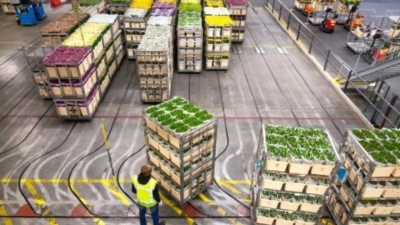 Royal floraholland verdeelproces