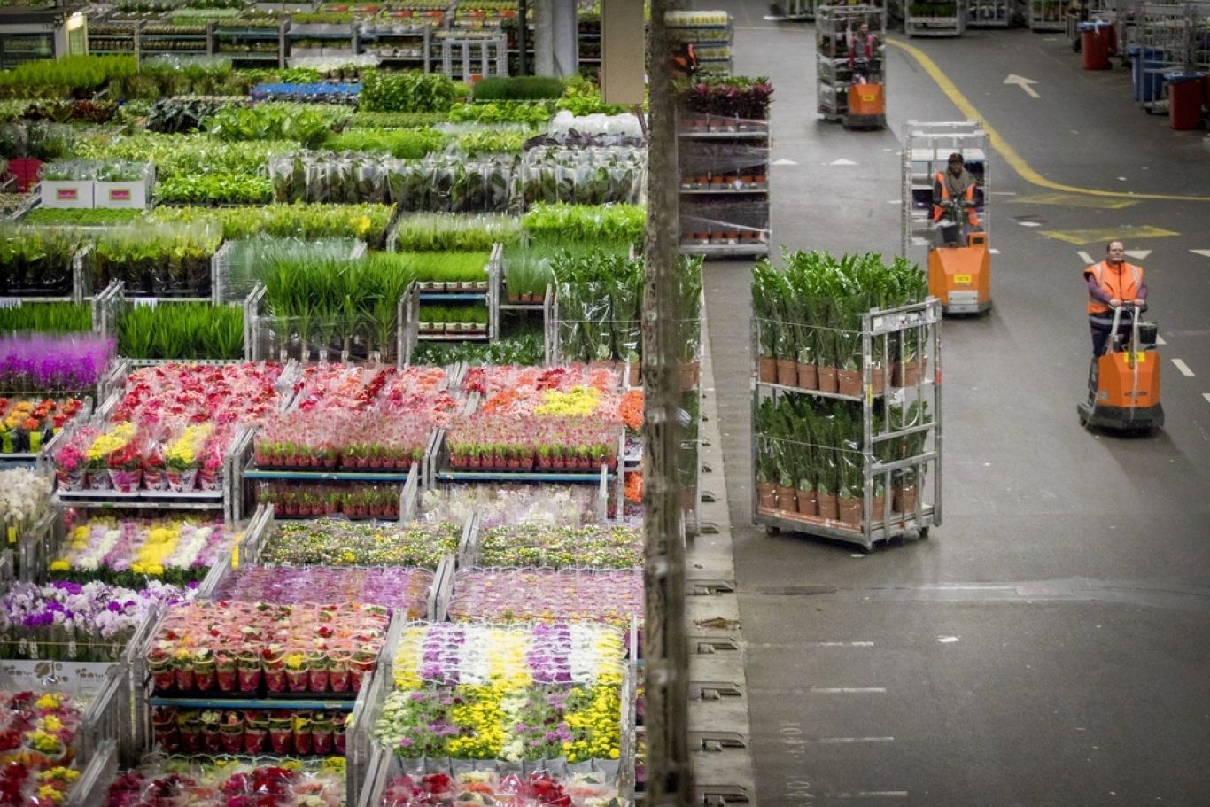 Royal Flora Holland Stapelwagens met planten