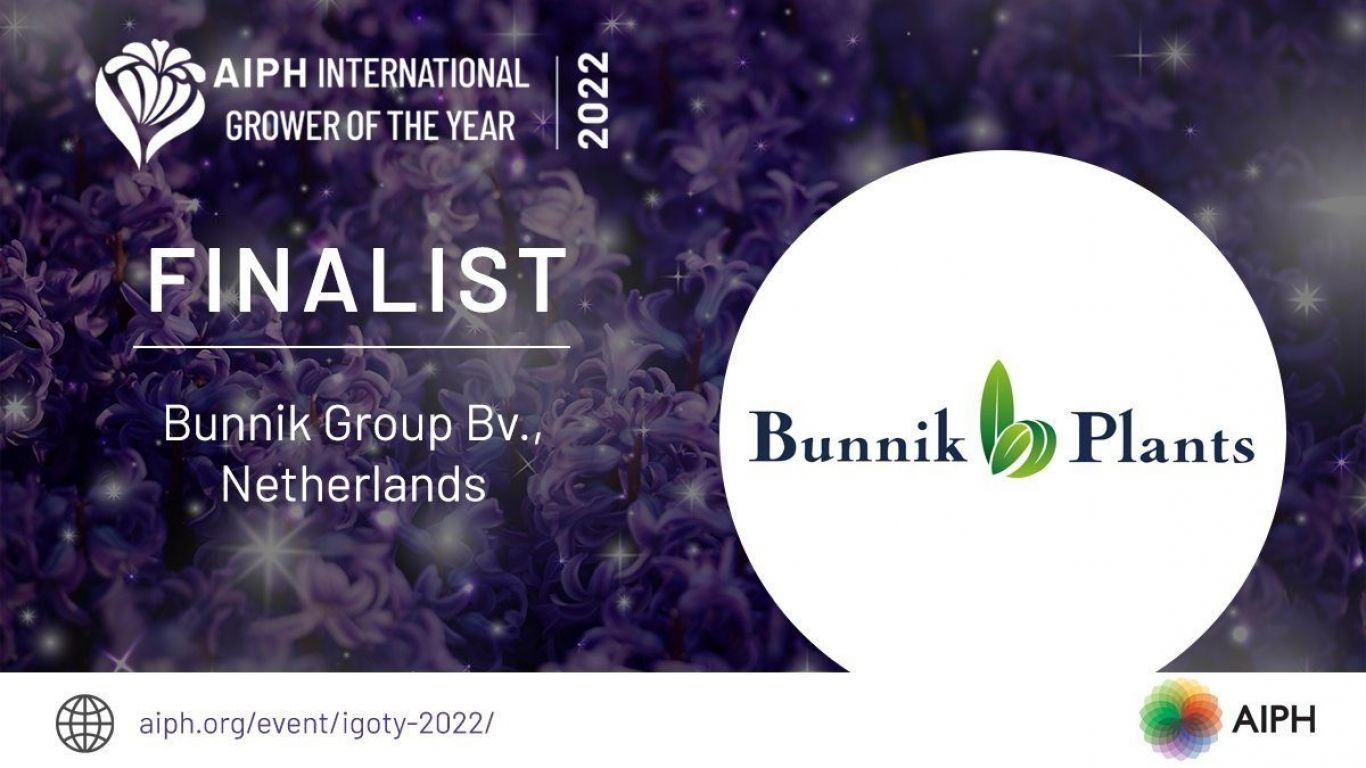 Bunnik Plants Finalist 2022 IGOTY62a205b185a507 58690246