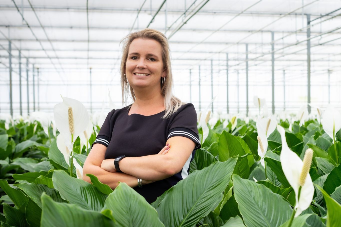 Nancy Zwirs Best Plant