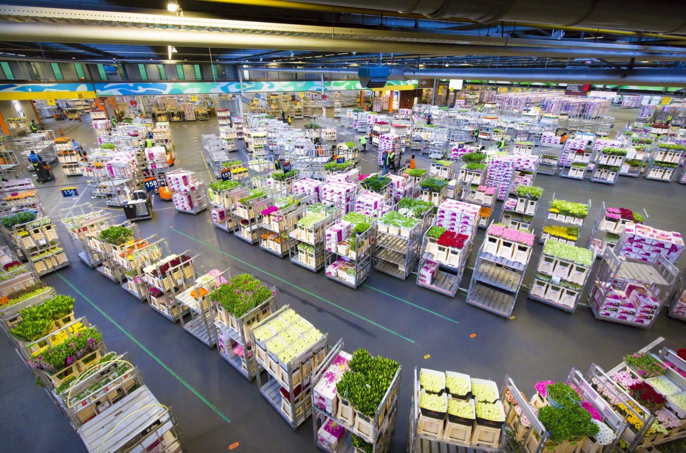 Royal Flora Holland STW