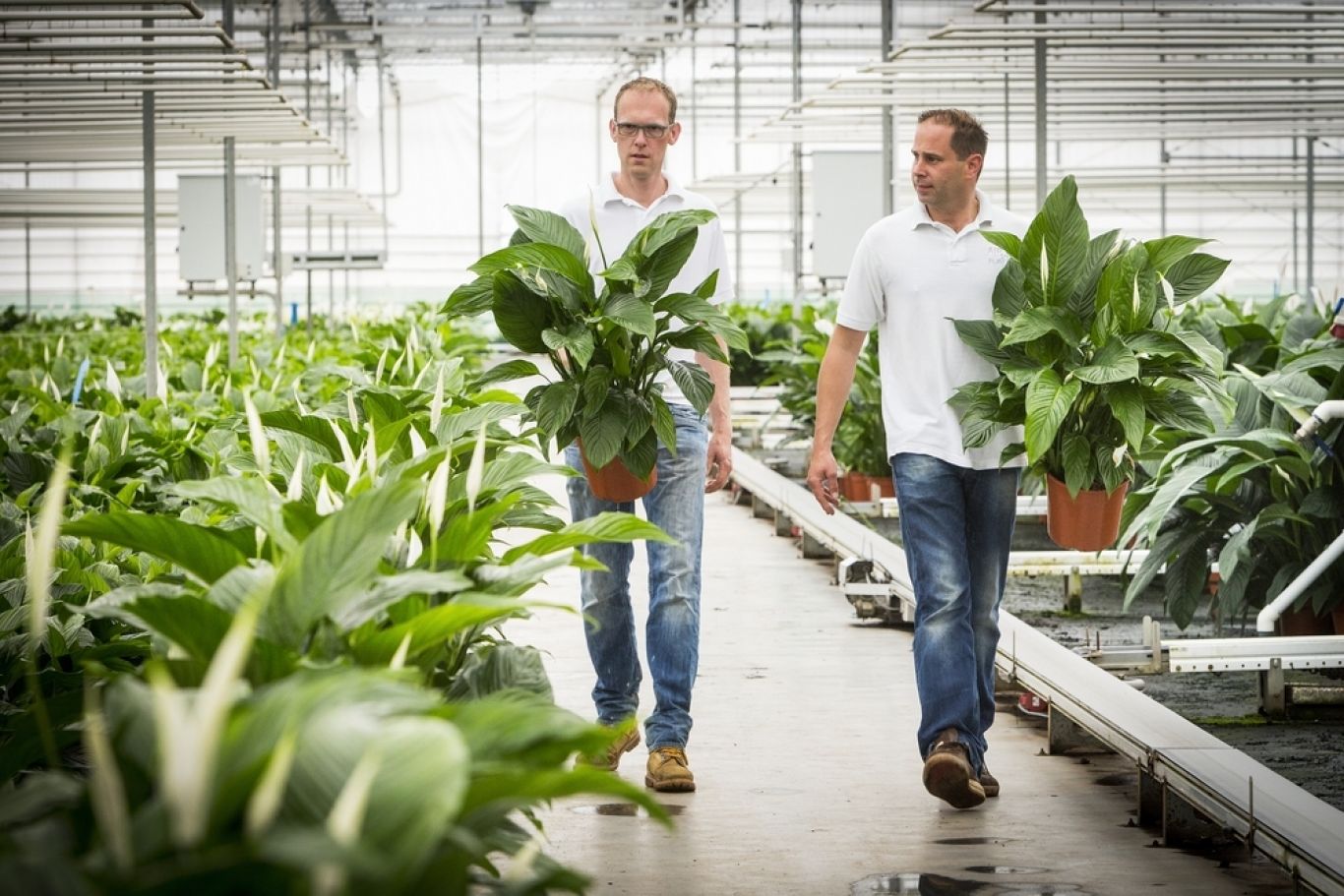 Milieucertificaat GROW1603patrick