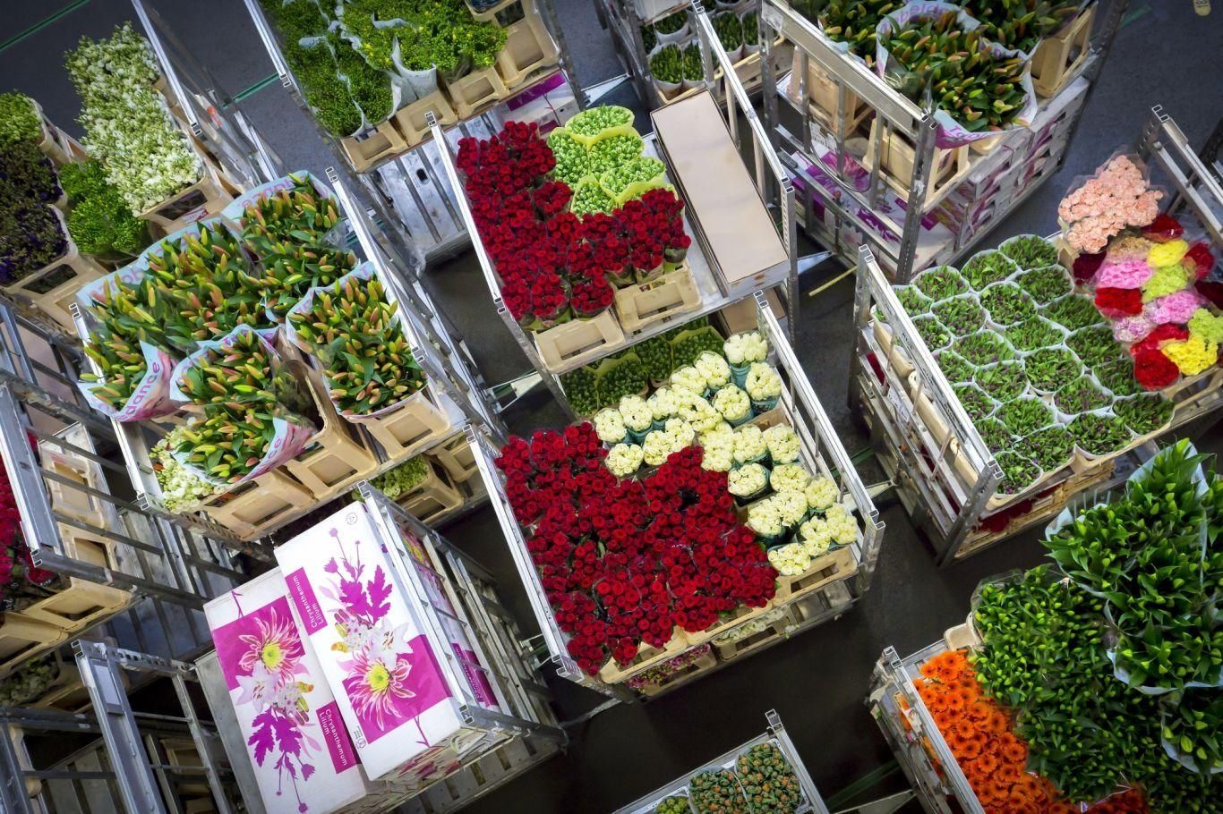 Royal Flora Holland stapelwagens