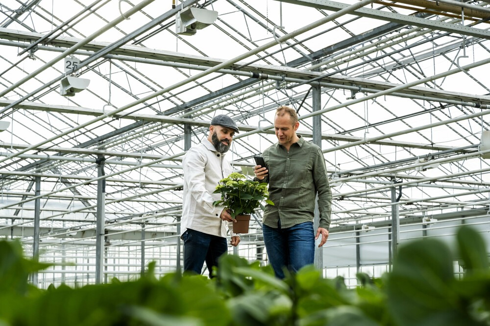 Mannen met een plant Mannen met een plant
