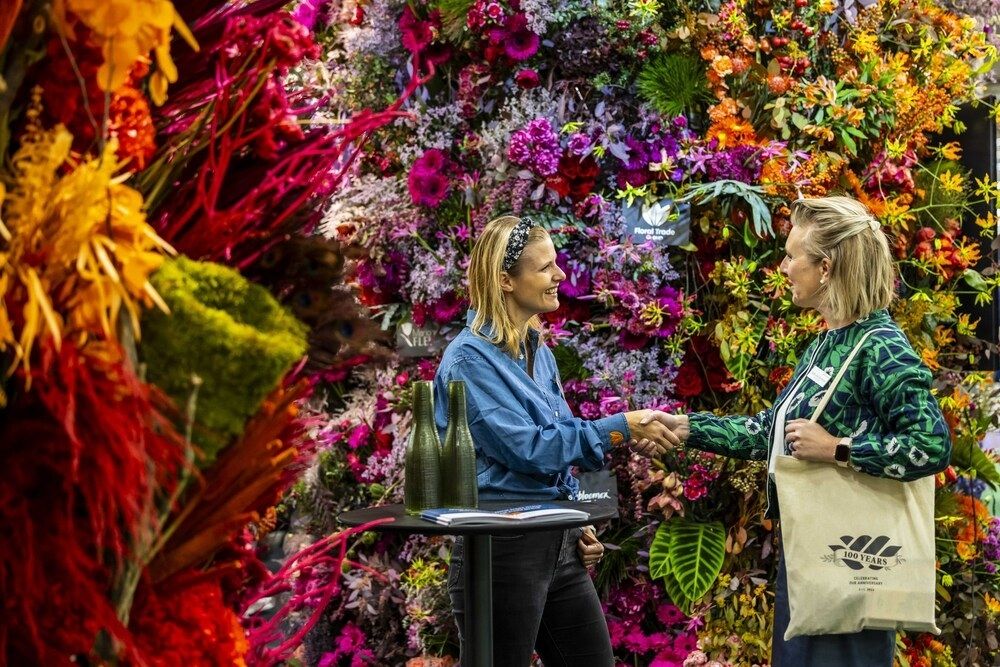 Preview NH20241105 003