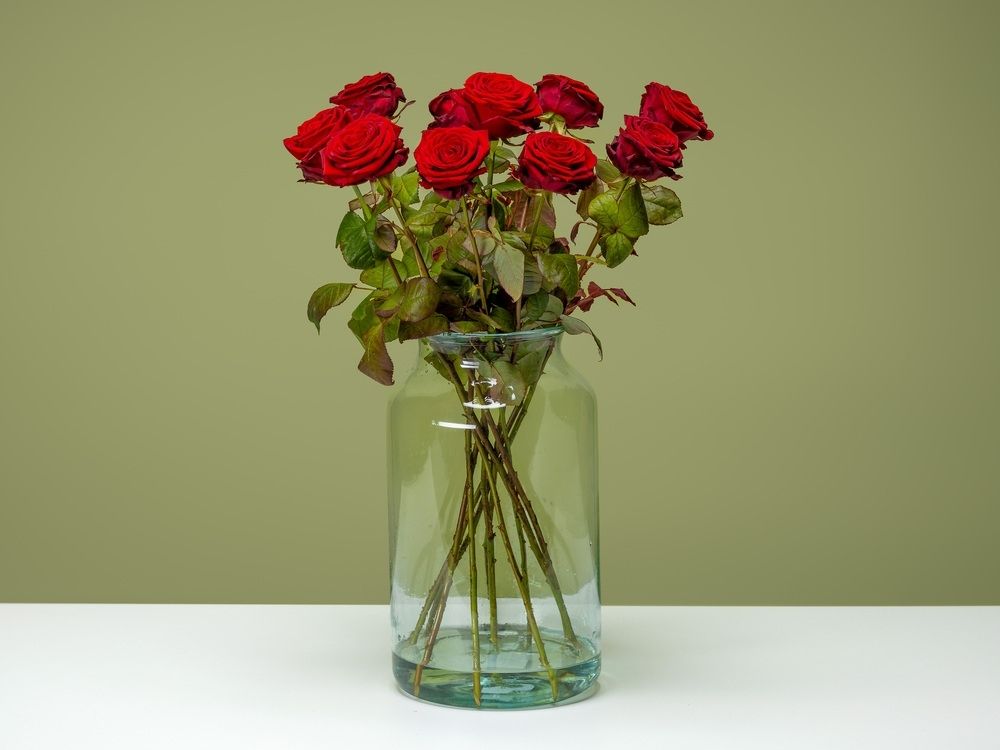 FPC Roos bloem FPC Roos bloem