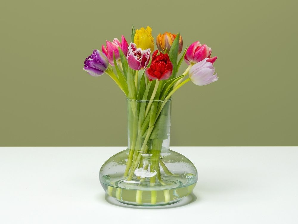 FPC Tulp bloem FPC Tulp bloem