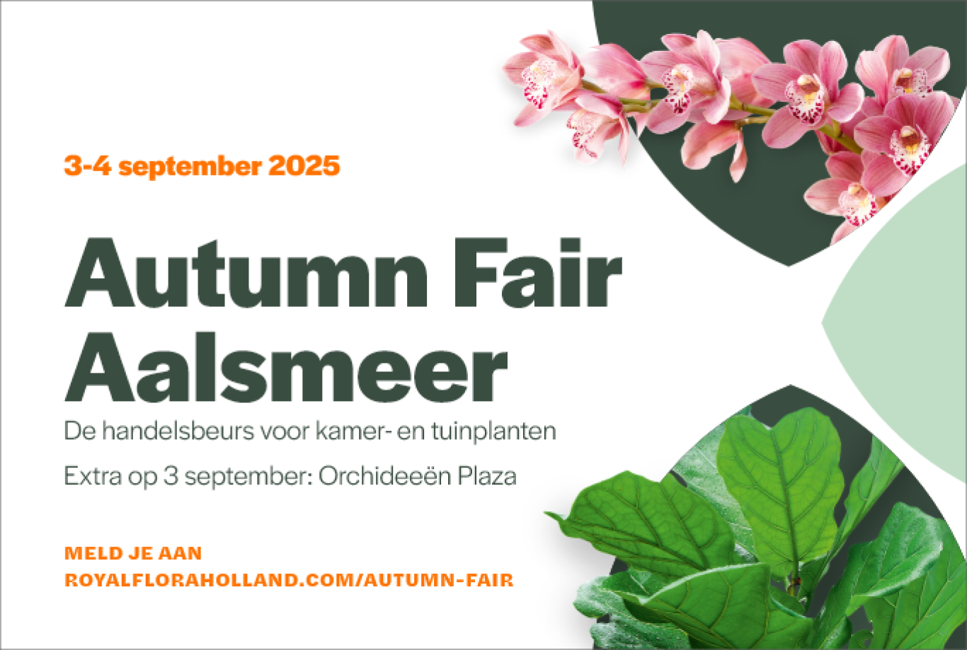 230802 RFH autumn beurs banner 684x460px 1