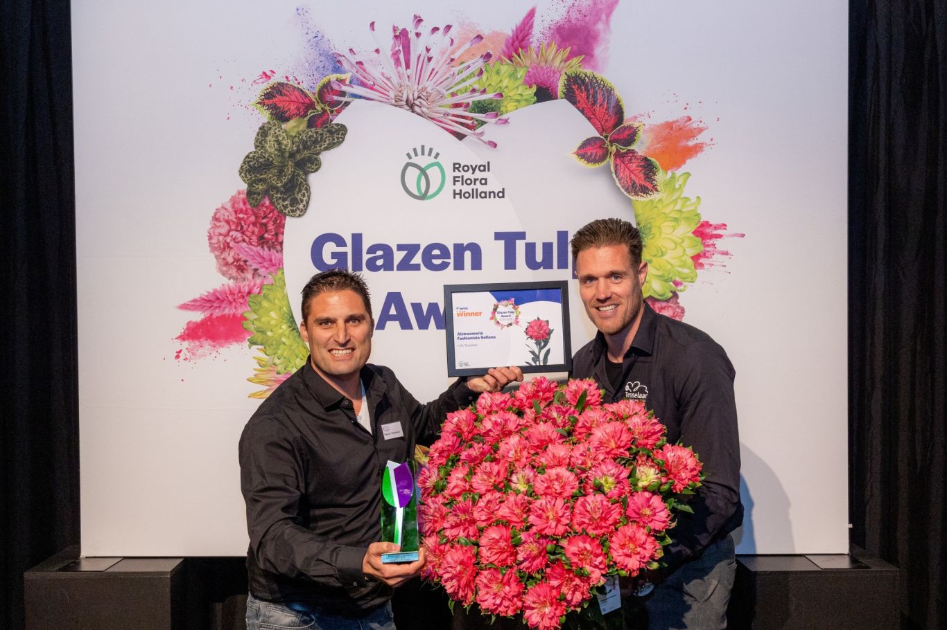 Winnaar publieksprijs Snijbloemen H M Tesselaar Alstroemeria Fashionista Sofiena