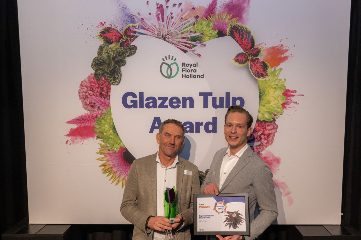 Winnaar Groene kamerplanten JP ten Have Begonia maculata Black Forest