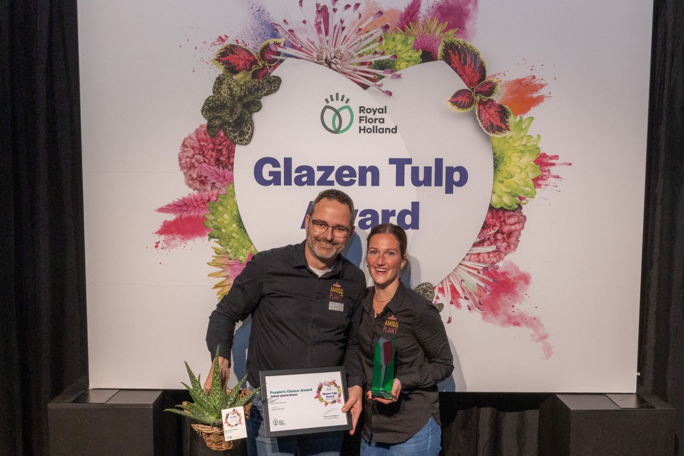 Publieksprijs Amigo Plant BV Aloe Vera Tropical