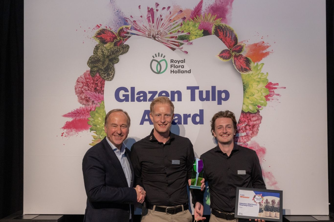Winnaar Bloemende kamerplanten Vilosa Kalanchoe Wild Flowers Surprising Canyon