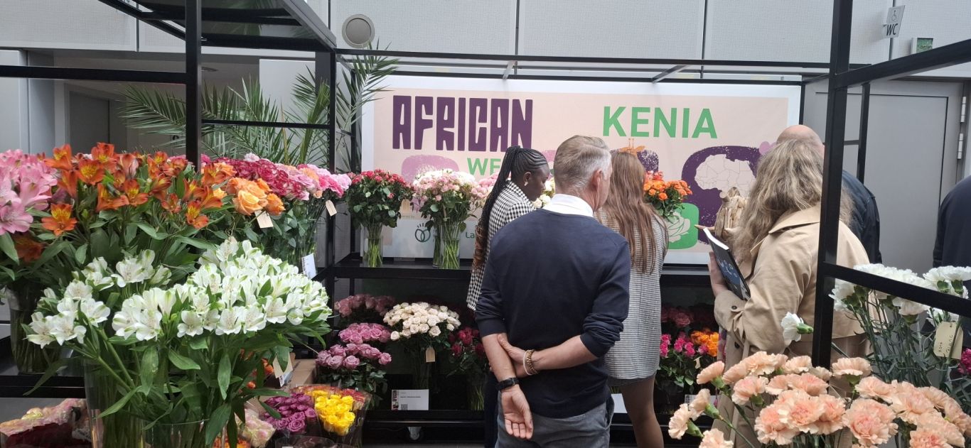 African Week 9