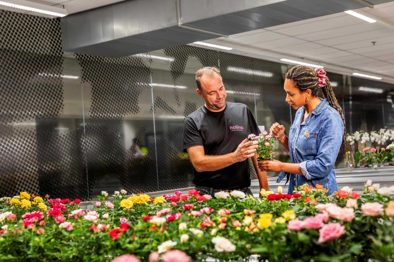 Benchmark Houdbaarheid 2