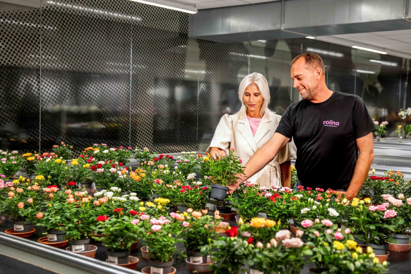 Benchmark Houdbaarheid