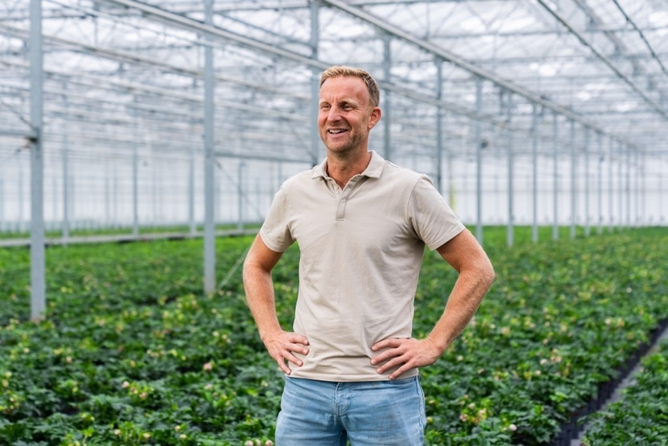 Bob Hoogeveen Plants