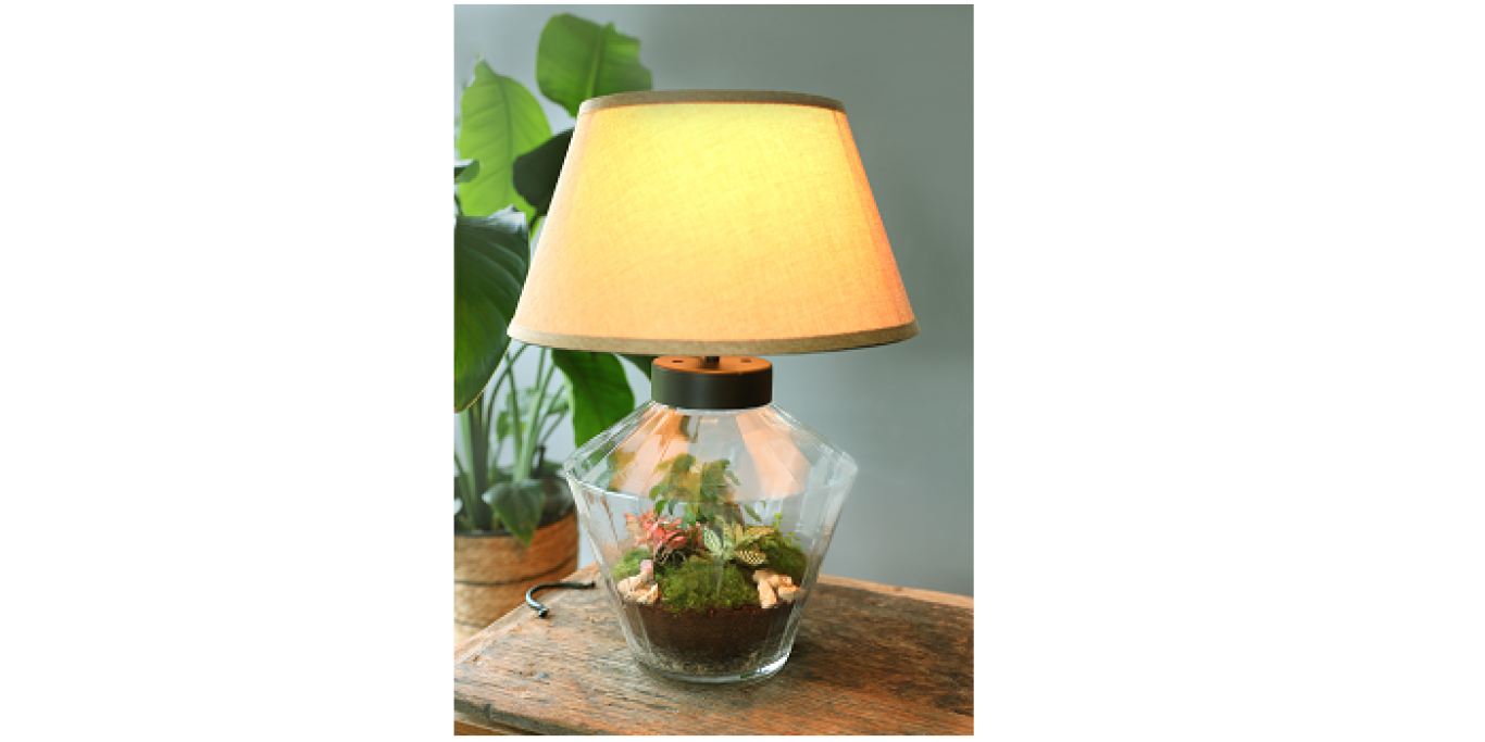 C5 Wardians Terrarium Victoria klein