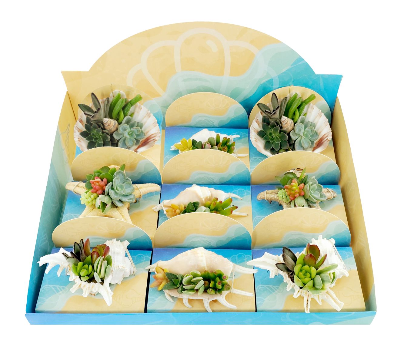 Concept Arddeco Arrangementen Shell Display