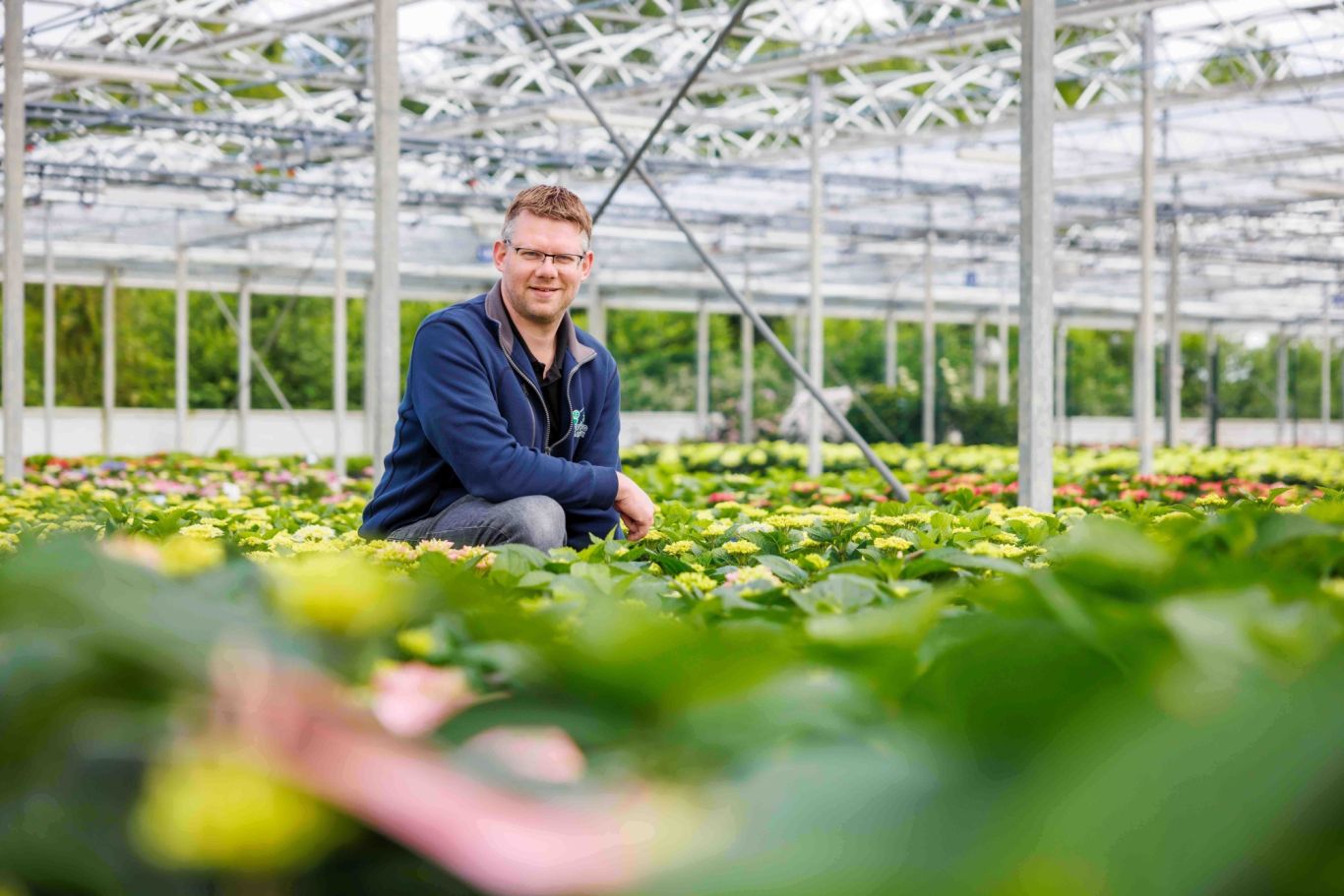 De jong plants deel 2 83 compromised