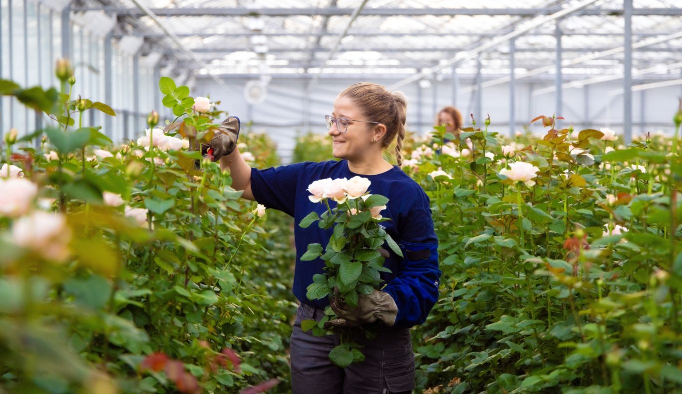 Duitsland Wolfgang Klumpen 013