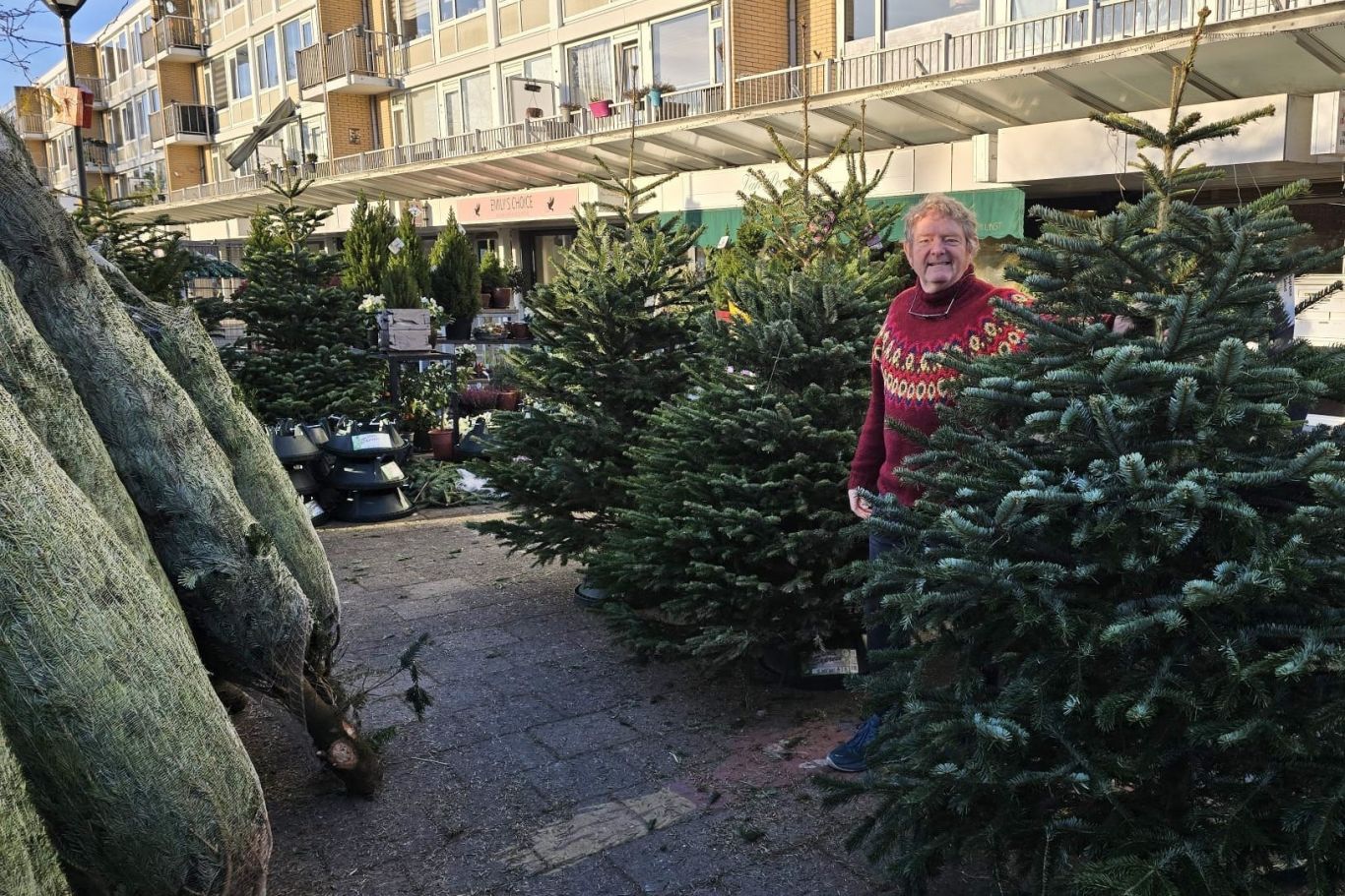Erik Boland kerstbomen 2025 kopie