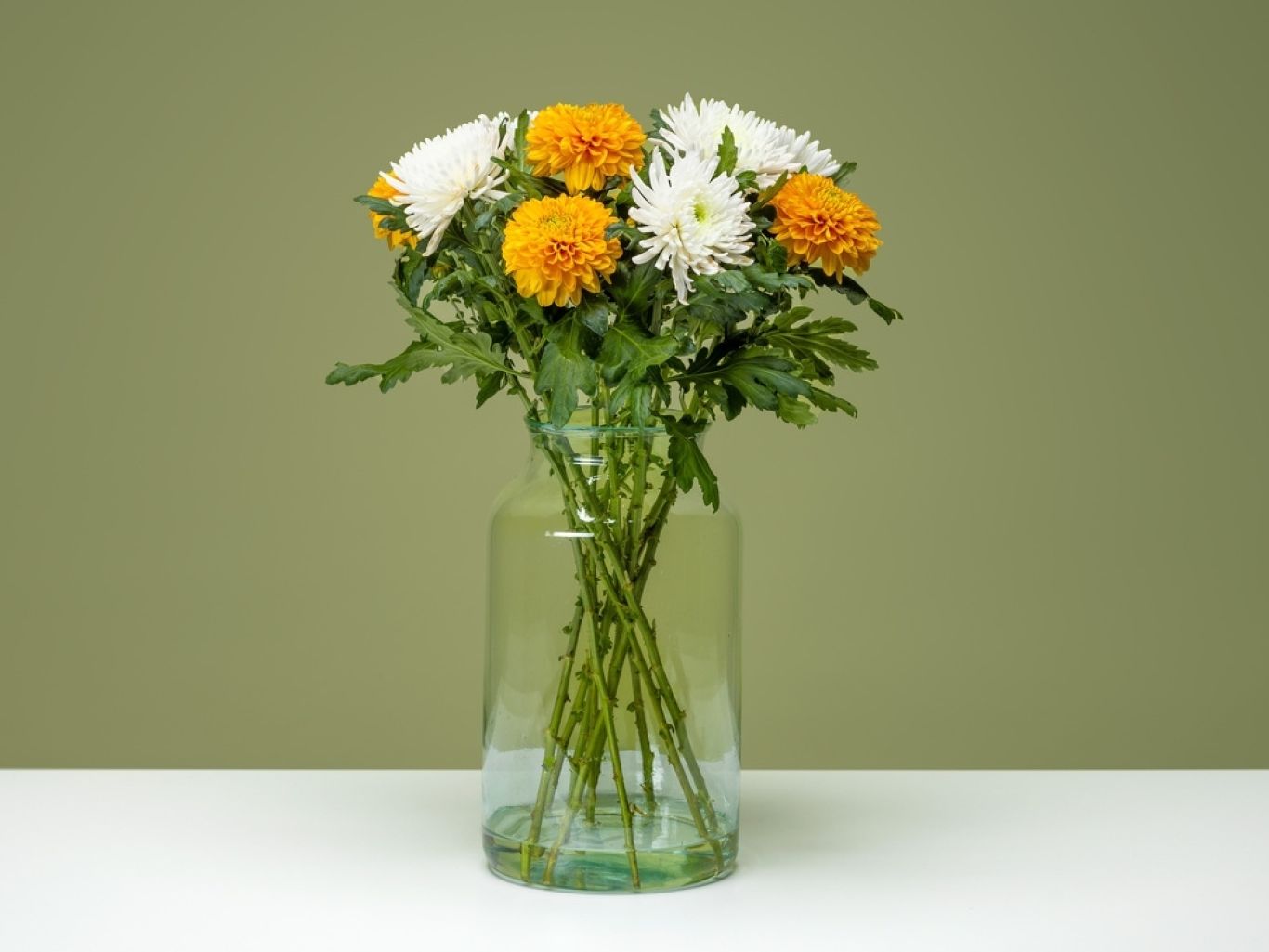 FPC Chrysant bloem