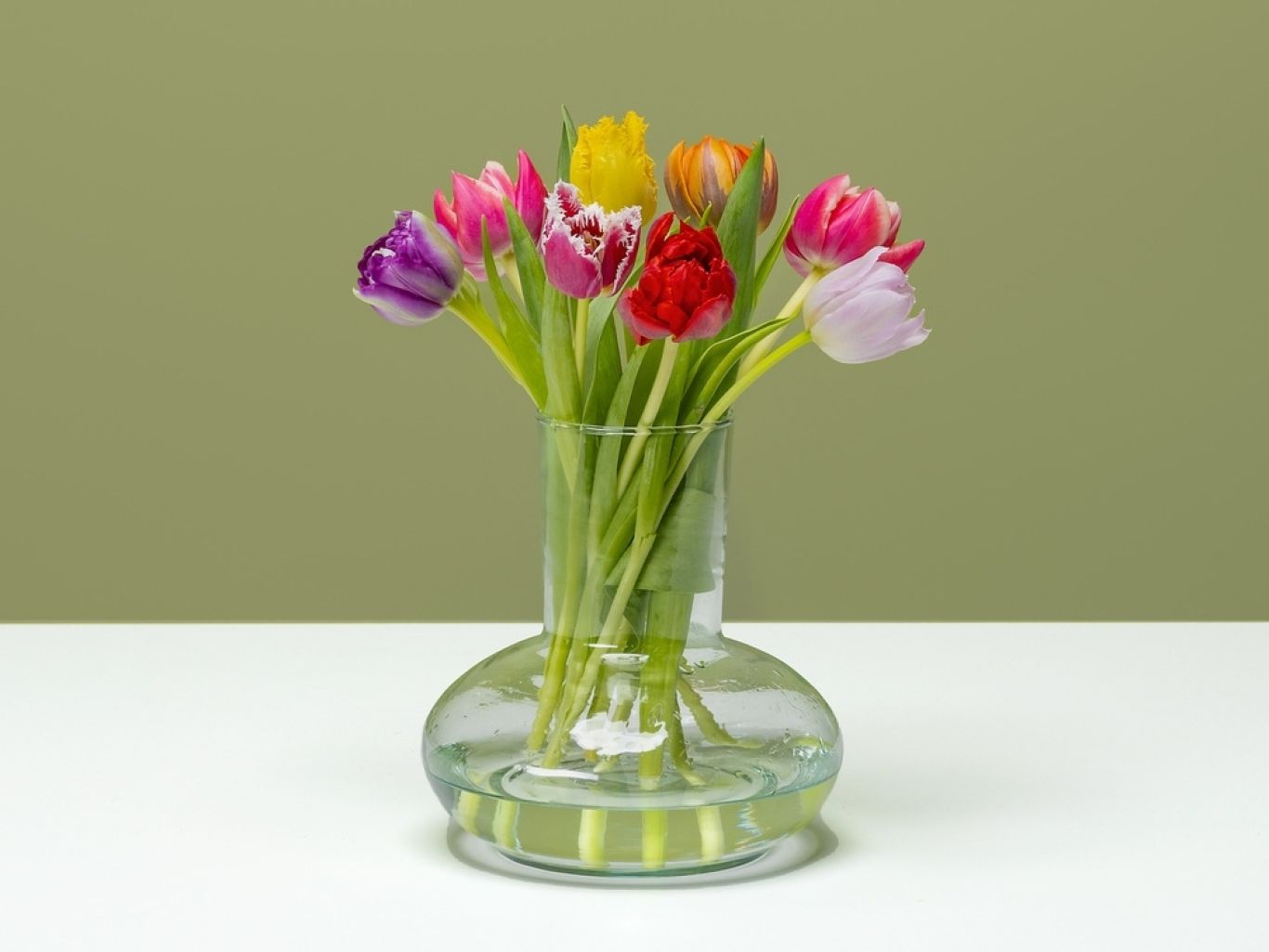 FPC Tulp bloem