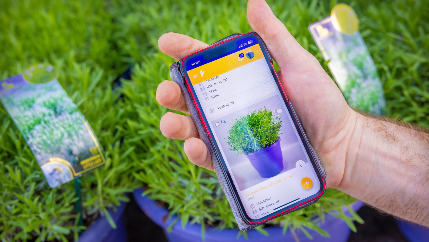 Floriday app Lavendel Plus