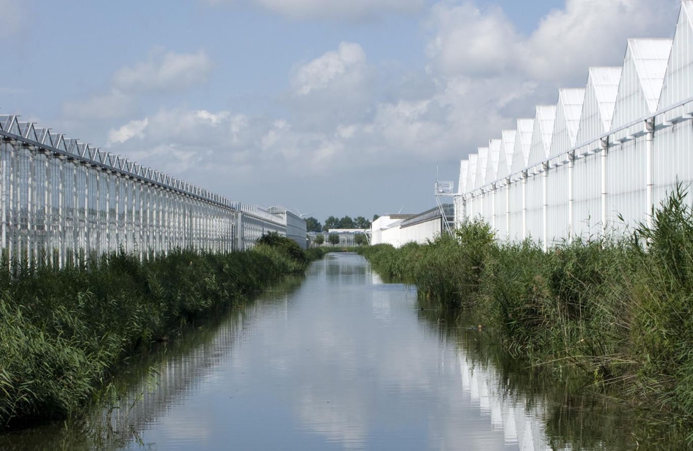 Glastuinbouw Zuivering