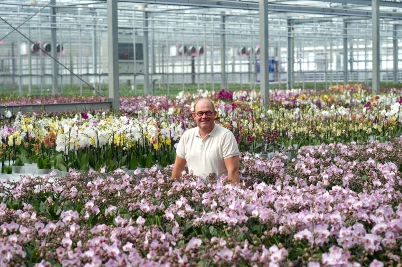 Jan Stolk Stolk Flora