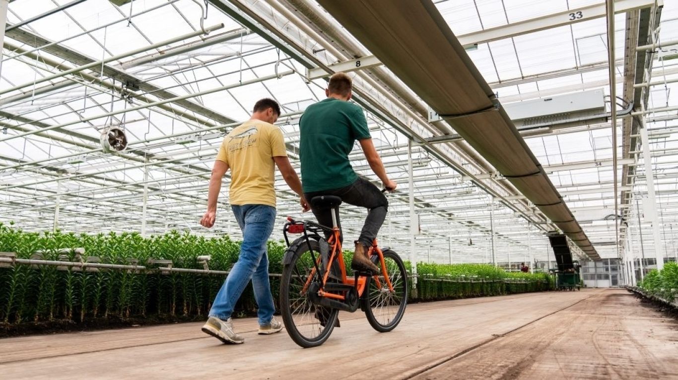 Kwekerij fiets