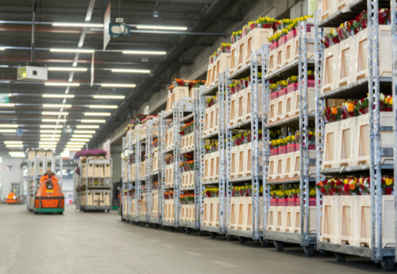 Logistiek Naaldwijk