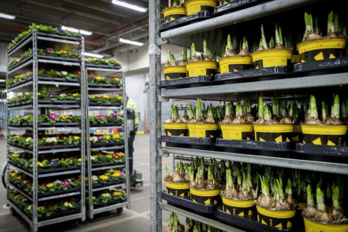 Logistieke middelen 20170117 17