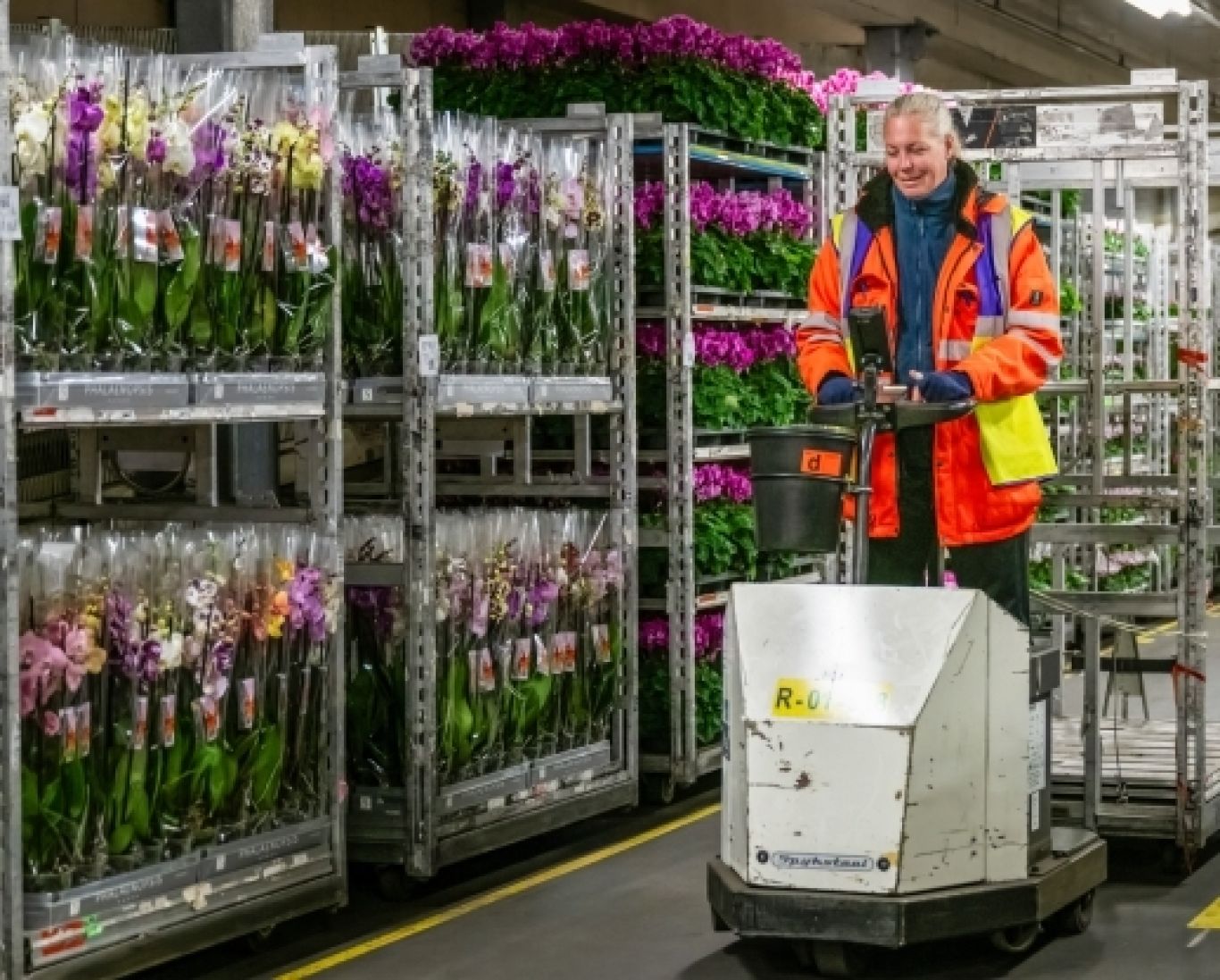 Logistieke Middelen Online