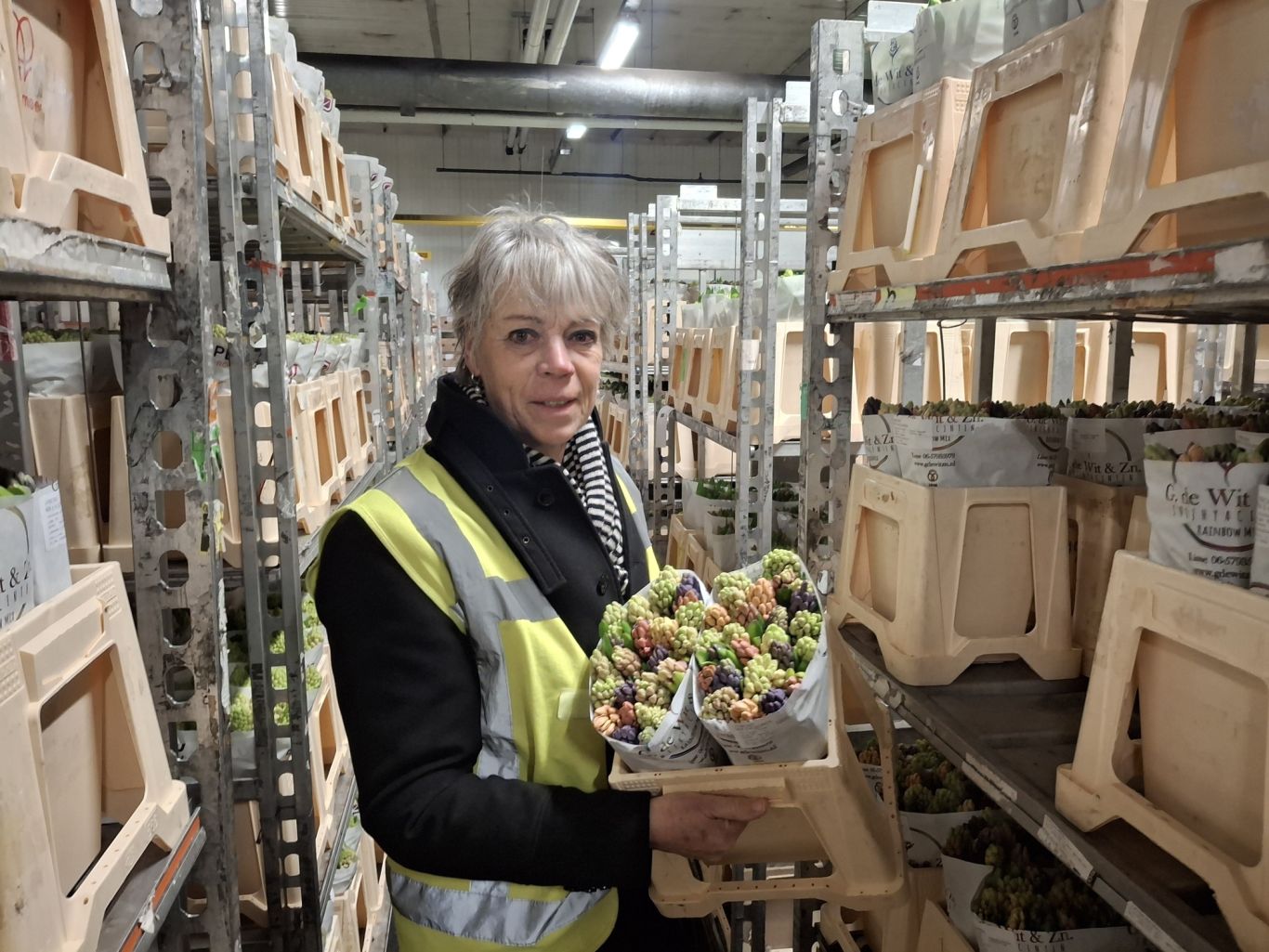 Luus Hooyman jan 2026