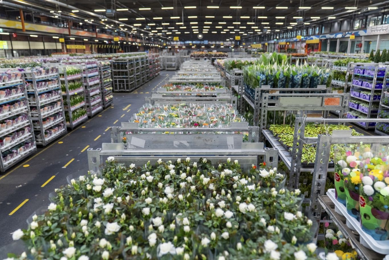 Naaldwijk karren met producten