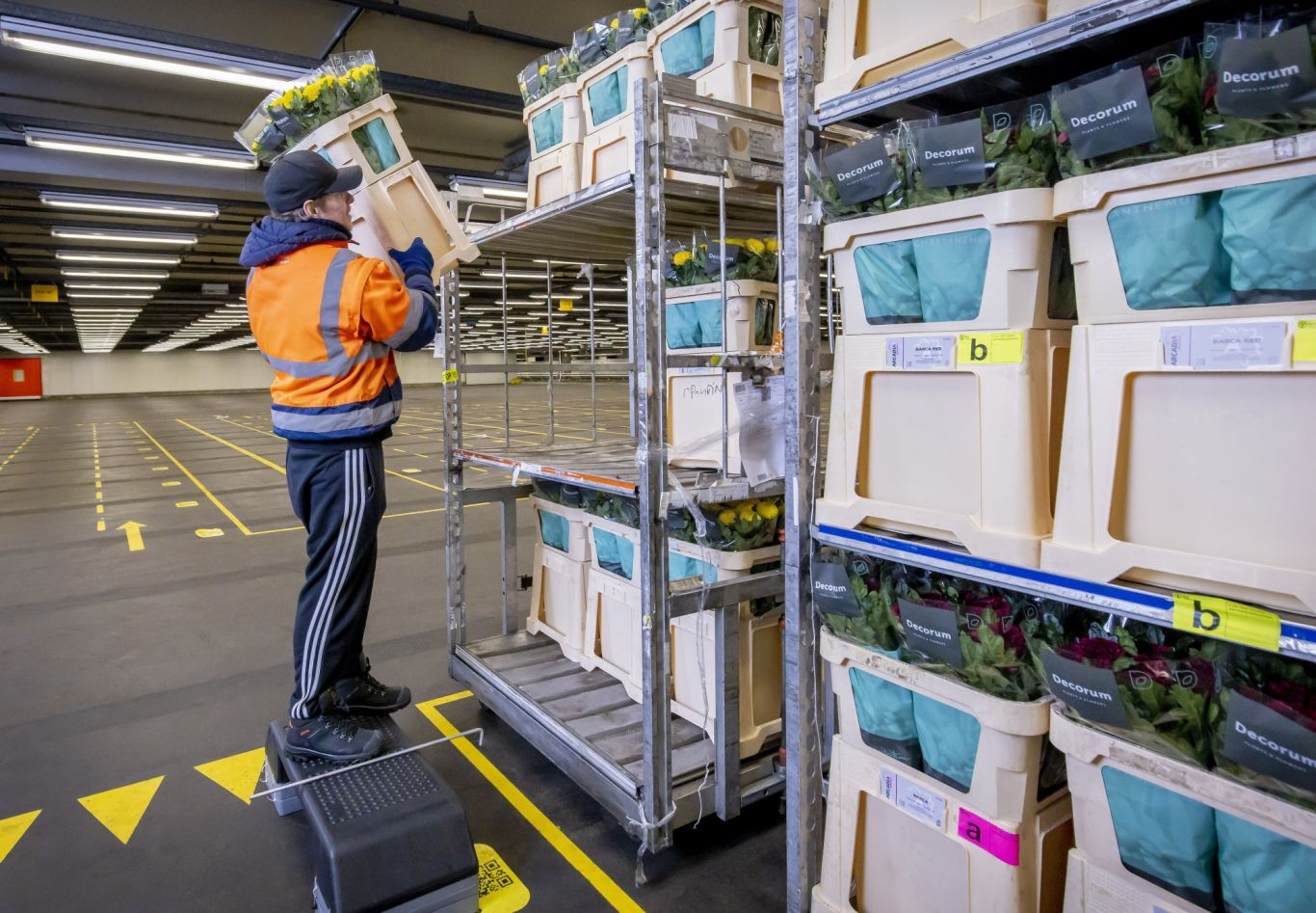 RFH Nieuwe Logistiek Naaldwijk 20220208 40 UITSNEDE