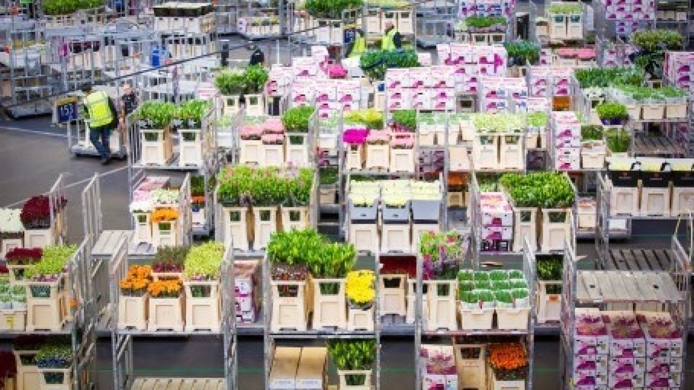 Royal Flora Holland 20160418 55 003